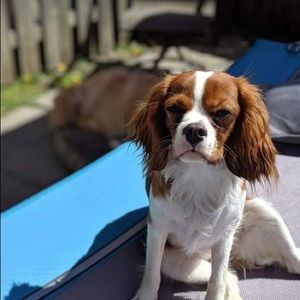 Meet your Posher, Madi